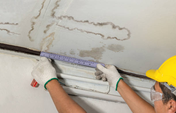 Reliable Basement Water Removal contractor in Charleston, WV by Water Damage Irwin